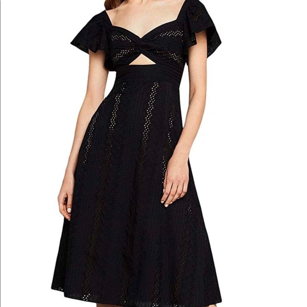 BCBG Embroidered Fit and Flare Midi Dress